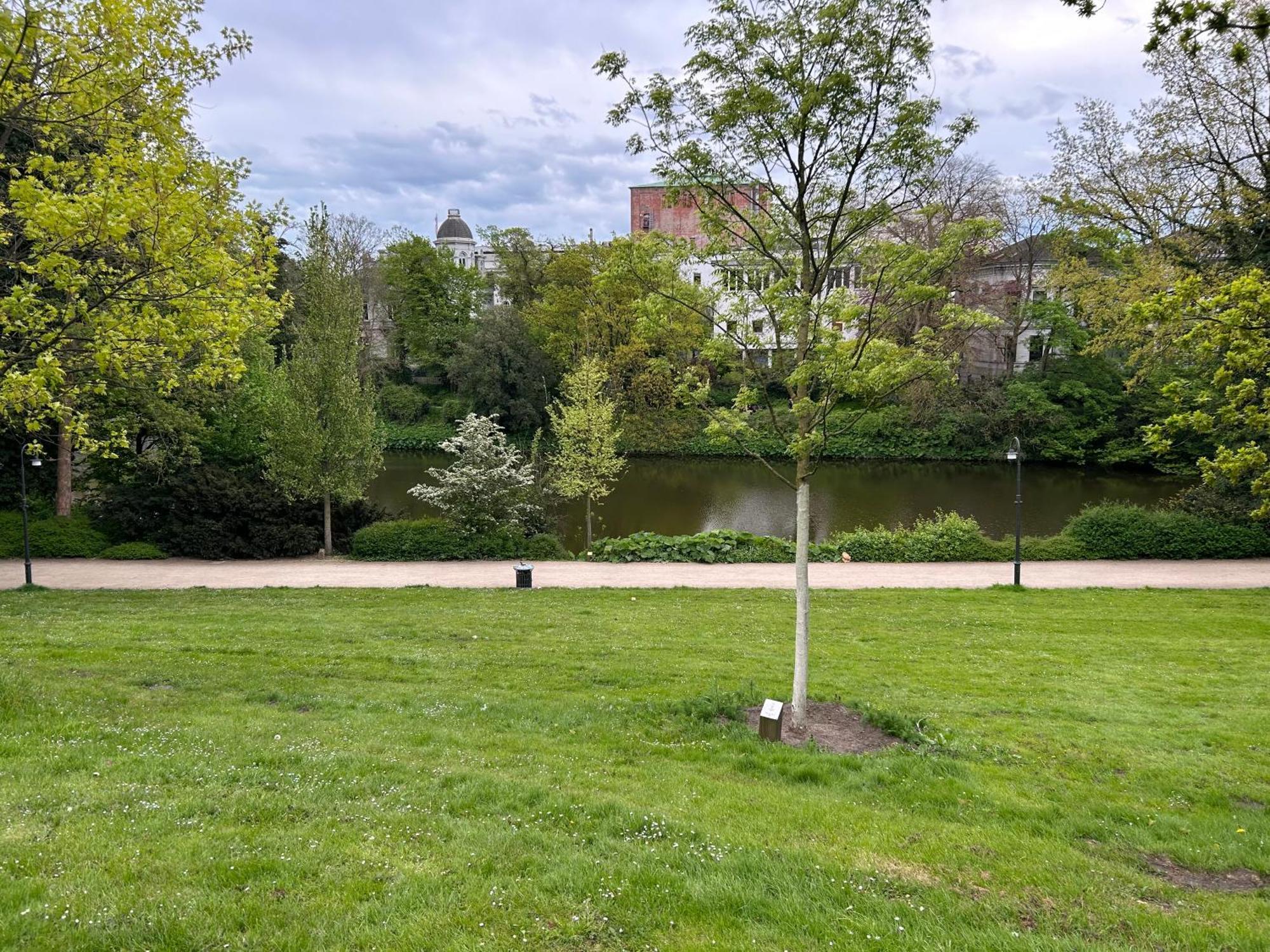 Homey Apartments - Riverside - Mit Weserblick Und Parkplatz Brême Extérieur photo